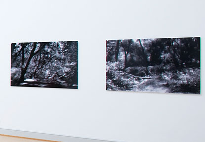 Dieter Berke - Wild Horse 1