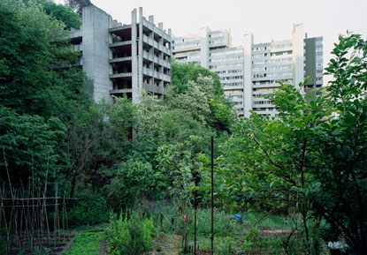 Jon Etter - The Garden