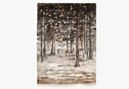 Caro Niederer - Begonien
