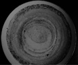 Heimspiel 2009 - Researches on the strange fields series #1 c-prints
